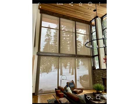 Tall window with a view of snowy trees